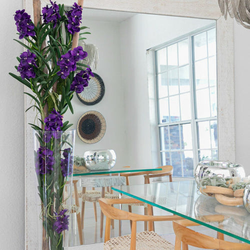 Lila Vanda-Orchideen und Treibholz im konischen Glaszylinder