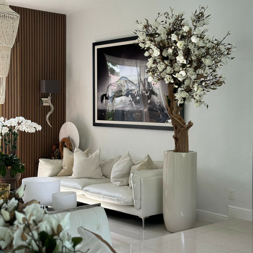 Weißer Magnolienbaum im glänzenden St. Tropez-Topf in Beige