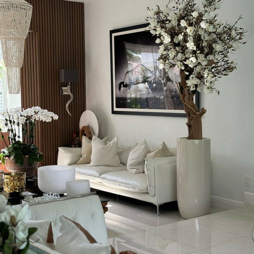 Weißer Magnolienbaum im glänzenden St. Tropez-Topf in Beige