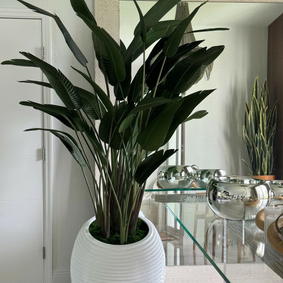 Paradiesvogelpflanze in weißer Spiralvase