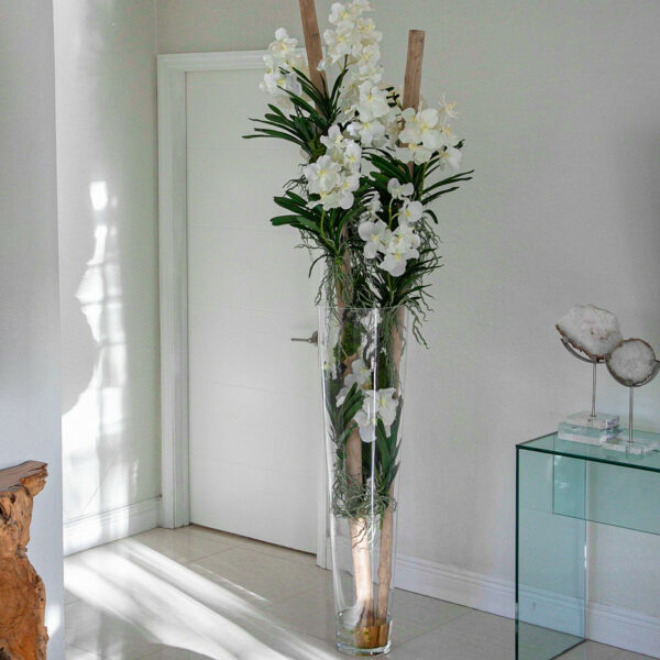 Weiße Vanda-Orchideen mit Treibholz im großen konischen Glaszylinder