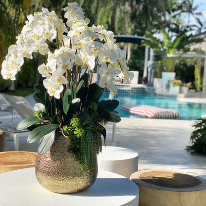 Delaney Vase in Gold mit mehreren Phalaenopsis-Orchideenstielen und Sukkulenten