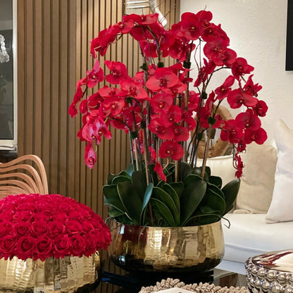 Rote Phalaenopsis-Orchideen im mittleren goldfarbenen Topf