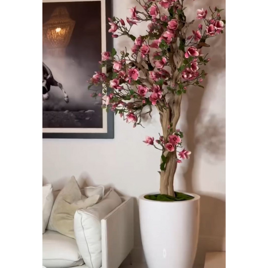 Pinkfarbener Magnolienbaum im St. Tropez-Topf in strahlendem Weiß – Neuerscheinung