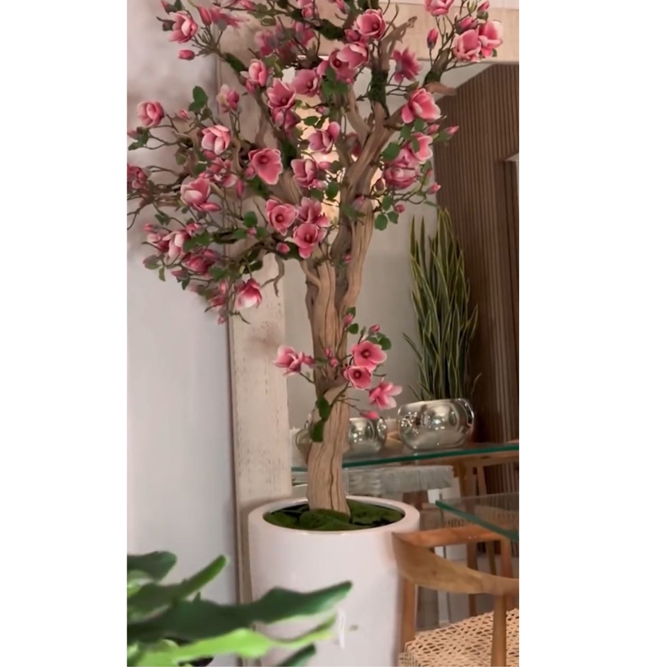Pinkfarbener Magnolienbaum im St. Tropez-Topf in strahlendem Weiß – Neuerscheinung