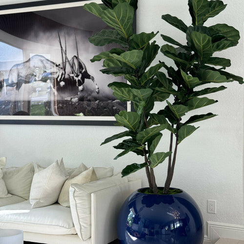 30″ Blaue Globusvase mit Geigen-Feige