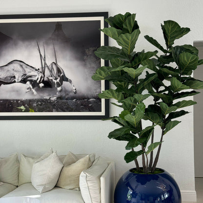 30″ Blaue Globusvase mit Geigen-Feige