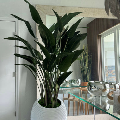 Paradiesvogelpflanze in weißer Spiralvase