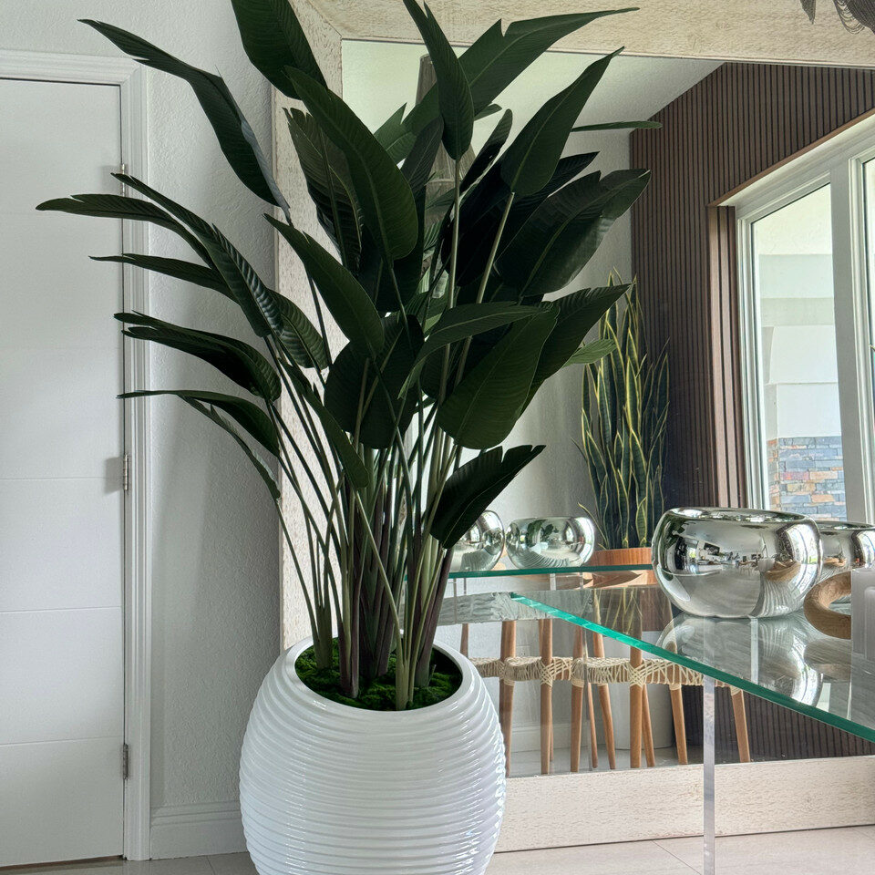 Paradiesvogelpflanze in weißer Spiralvase