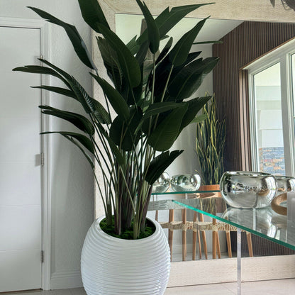 Paradiesvogelpflanze in weißer Spiralvase