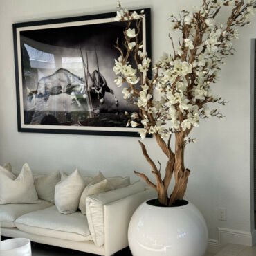 Weiße Magnolienbaum in glänzend weißem Globus-Topf, 76 cm