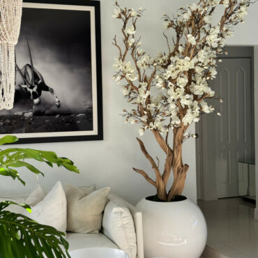 Weiße Magnolienbaum in glänzend weißem Globus-Topf, 76 cm