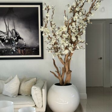 Weiße Magnolienbaum in glänzend weißem Globus-Topf, 76 cm